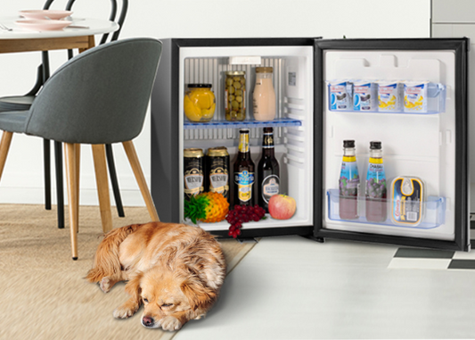 The Perfect Pair: Prepared Meals and the Eco-Friendly Absorption Fridge for Busy Europeans