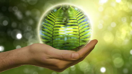 World Environment Day: Everyday Actions for a Sustainable Future