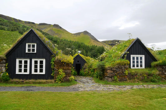 Living in a Tiny Home: How SMAD’s Gas Refrigerator Became the Perfect Solution
